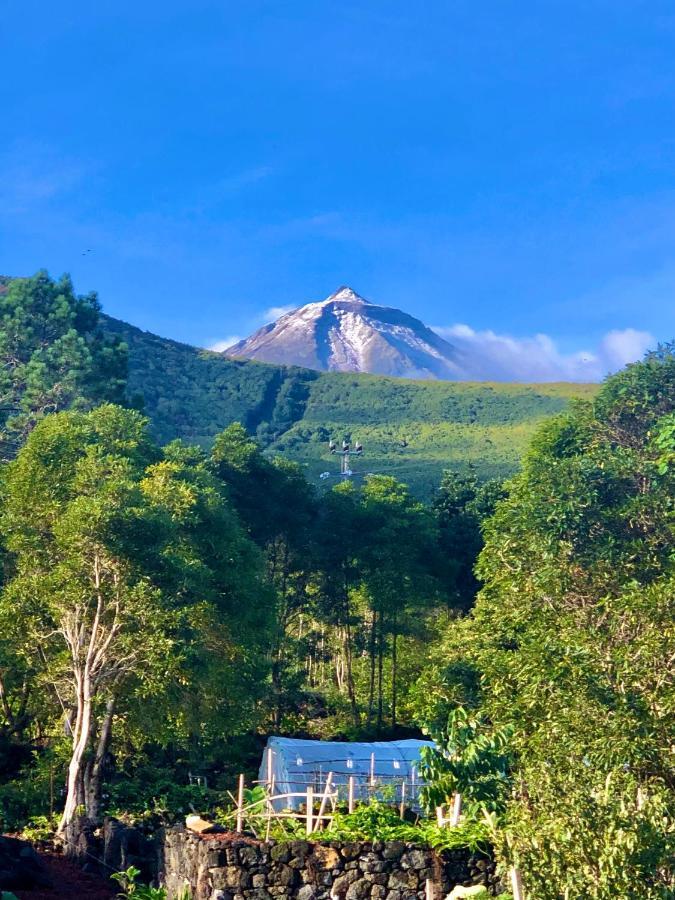 Quinta Pereirinha: Oceanview Farm Retreat Holiday home Sao Roque do Pico