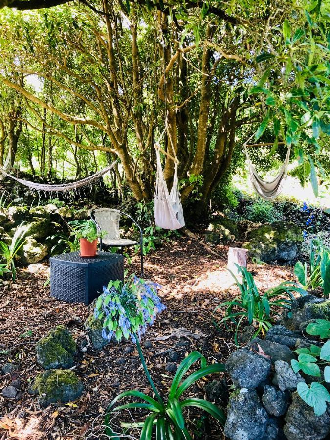 Holiday home Quinta Pereirinha: Oceanview Farm Retreat Sao Roque do Pico